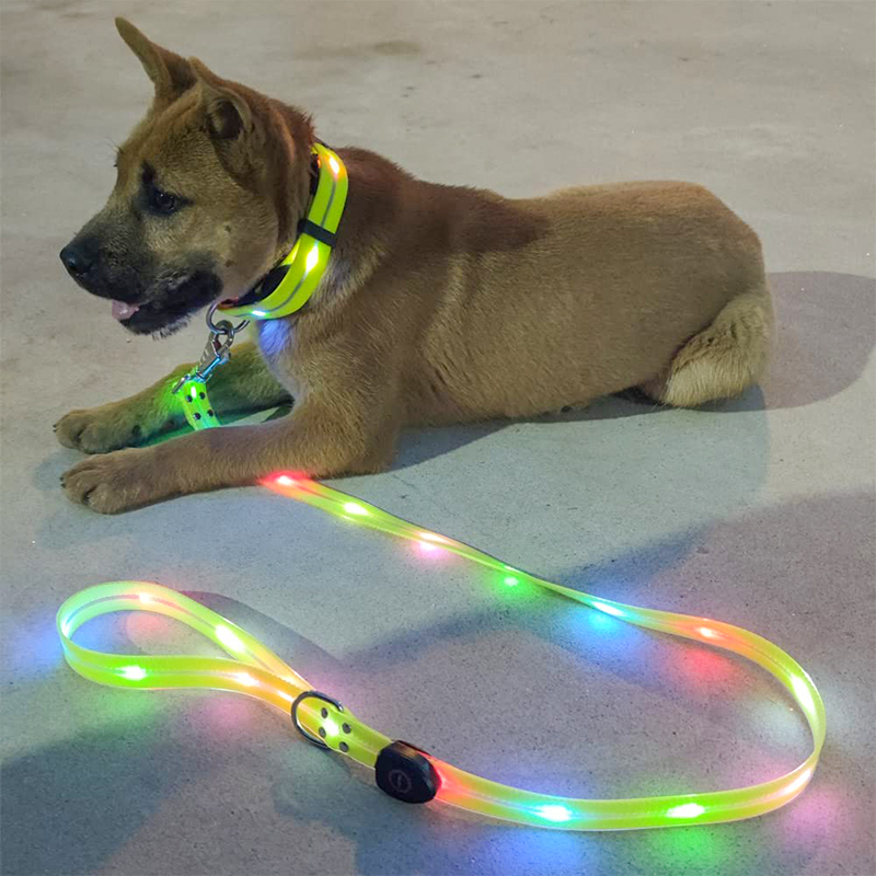 Glow in the dark dog leash best sale